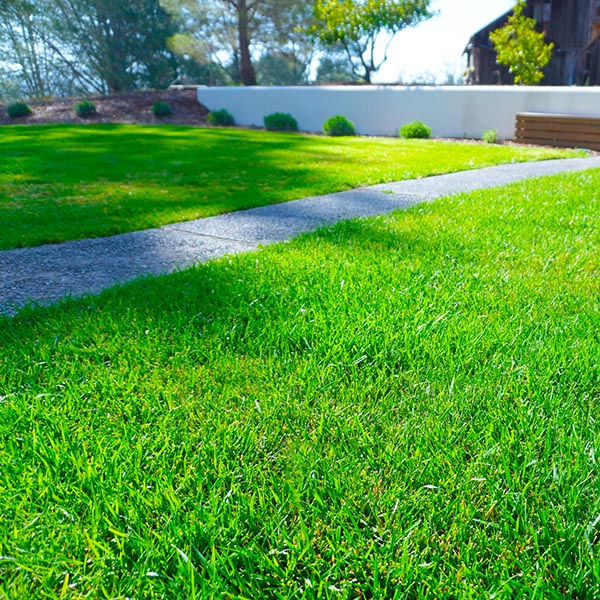 mallorca-grass-cesped-articial-jardin-vertical(1080x1080)