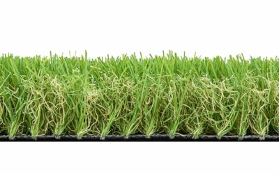 Pradera 37