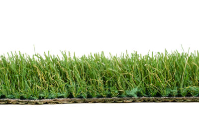 Herbe 45